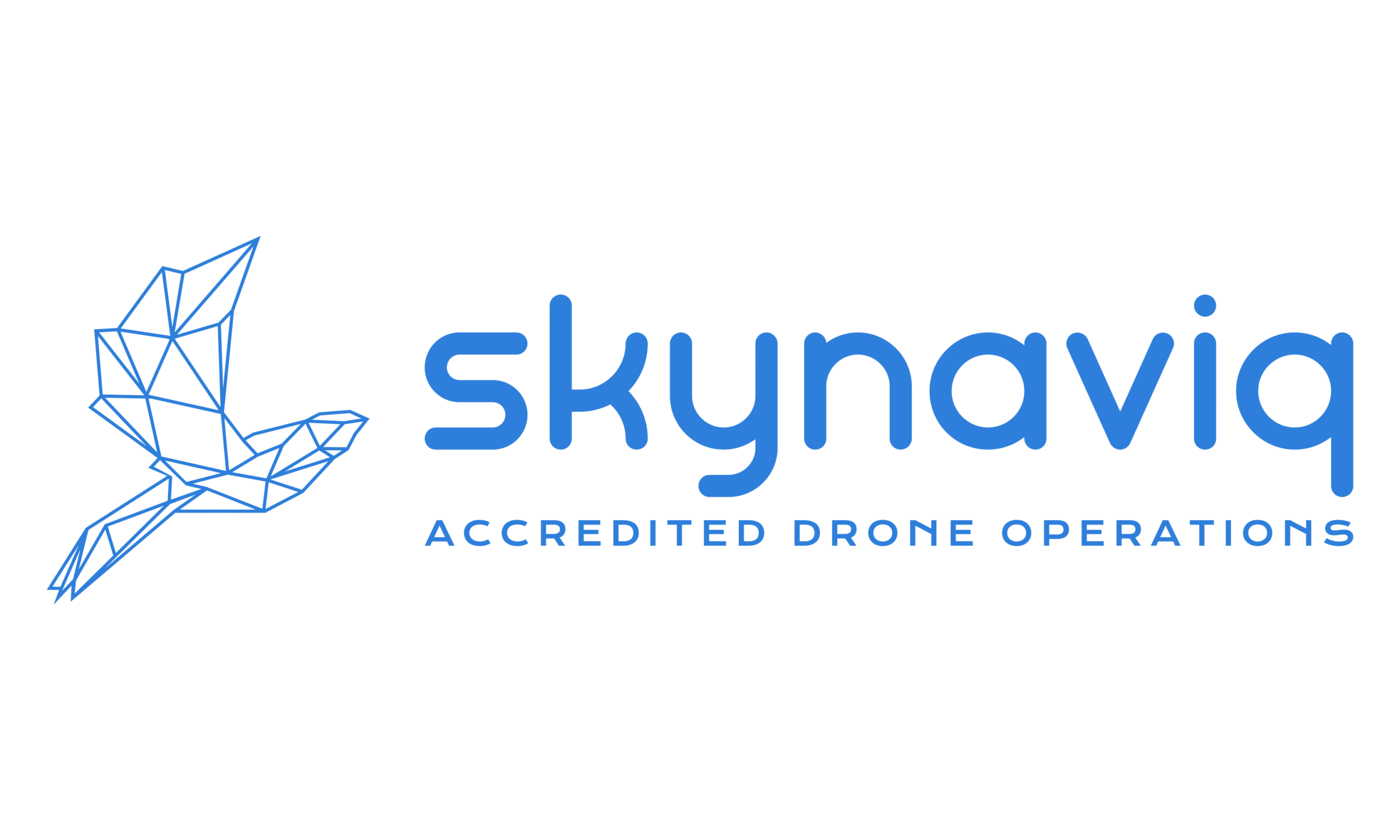 skynaviq_logo